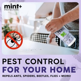 Mint+ Insect and Pest Control Spray, Residue-Free Bug Killer for Indoor & Outdoor Use, 16 oz (475mL)