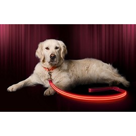 Illumiseen LED Dog Leash - USB Rechargeable - Your Dog Will Be More Visible & Safe - 6 Colors (Red, Blue, Green, Pink, Orange & Yellow) - Perfect to Use with Our Matching Collar (6 Feet, Pink)