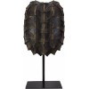 Ebros Large Alligator Snapping Turtle Shell Sculpture On Metal Mount