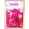 Dream World Self Hinge Barrette Daisy Pink Mix 60 Piece