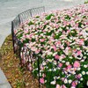 SCENDOR 5 Pack Decorative Fence Metal Garden Fence 16in x