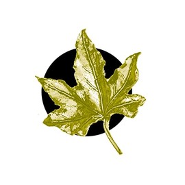 C7 Leaf CHROME GOLD COLOURED English Pewter on an Air Freshener fits on a Vent Clip Kit Decoration