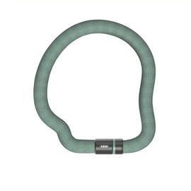 ABUS 6206K/110 Goose Lock Key Lock - Mint