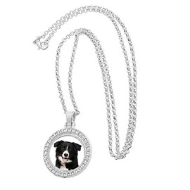 Border Collie Dog Pet Silver Colour Necklace With Diamante Pendant And Gift Box
