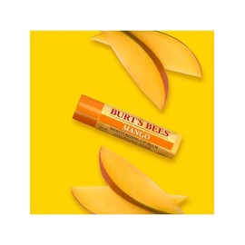 Burt's Bees Mango Lip Balm / 버츠비 망고 립밤
