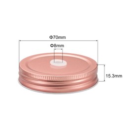 uxcell 20pcs Mason Jar Lids with Straw Hole Regular Mouth, 70mm Metal Mason Canning Lids Leak Proof Mason Jar Caps for Mason Jar Rose Gold
