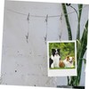 Zerodeko 1 Set Alligator Photo Clips with Hanging Wire for