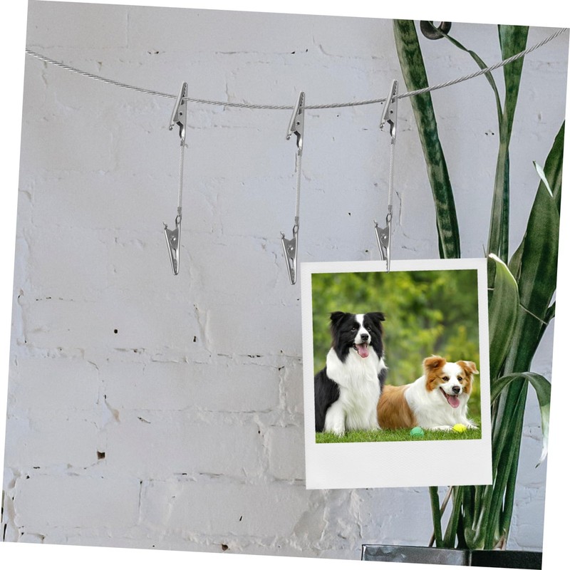 Zerodeko 1 Set Alligator Photo Clips with Hanging Wire for