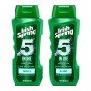 Irish Spring 아이리쉬 스프링 5in1 올인원 워시 18oz 2개입 Irish Spring 5-in-1 All-in-One Wash 18oz, 2 Pieces