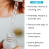 UrbanBotanics 2.5% Hyaluronic Acid Serum for Intense Hydration, Glowing Skin