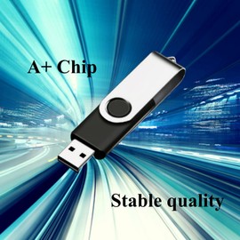 10 Pack 1GB USB Flash Drive USB 2.0 Thumb Drives Swivel Jump Drive Data Storage with Lanyard/Label (Black)