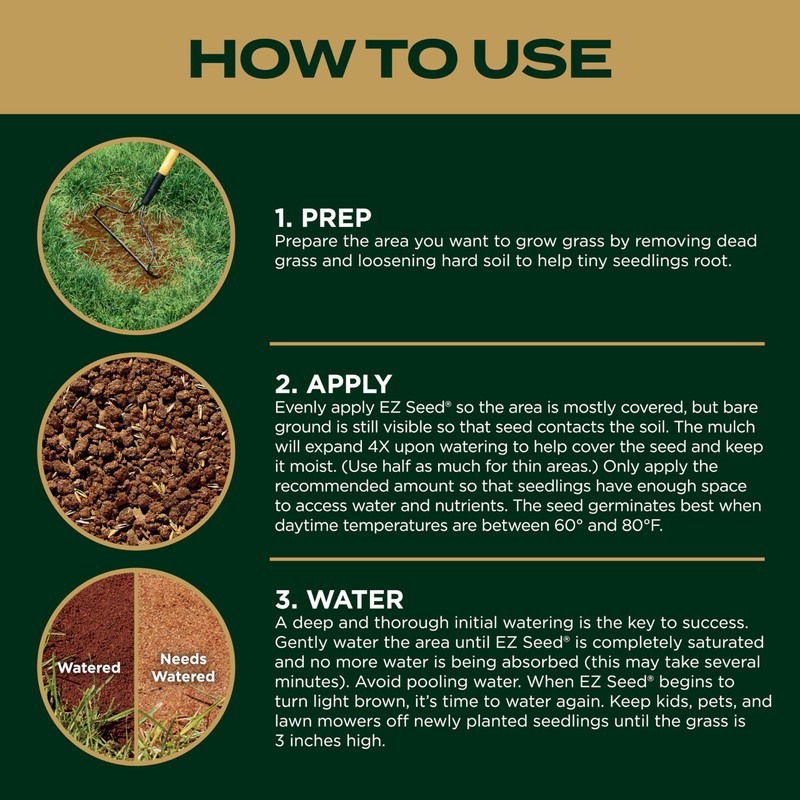 Scotts EZ Seed Patch & Repair Southern Gold Blend for