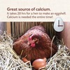 Manna Pro Manna Pro Poultry Grit with Probiotics | Insoluble