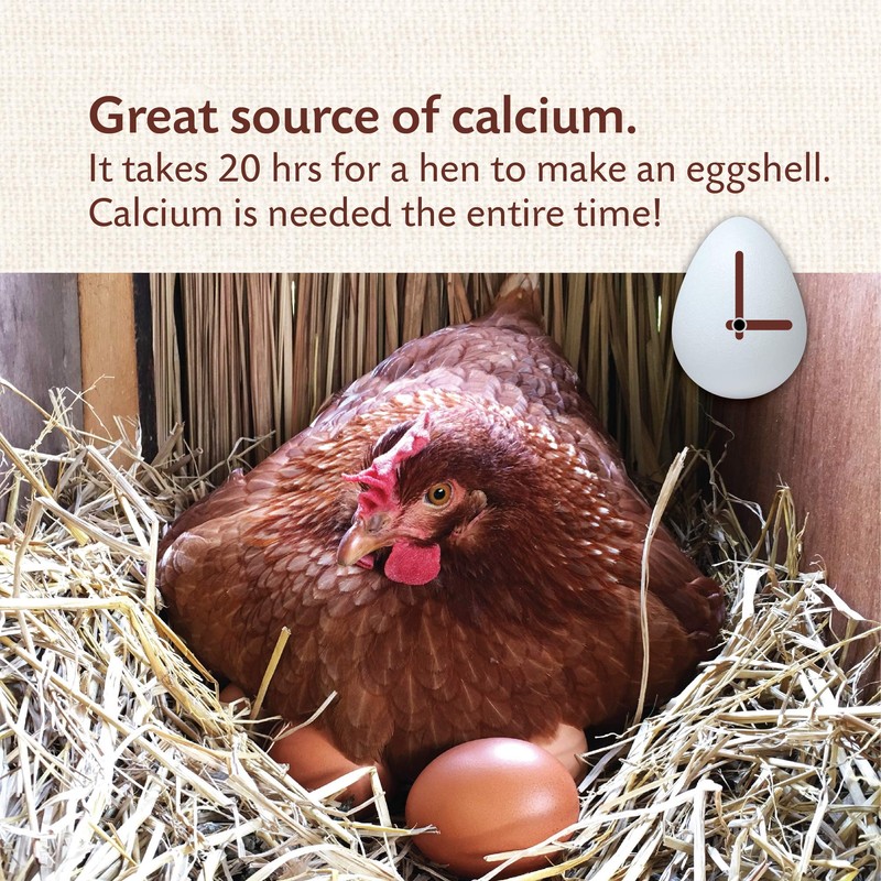 Manna Pro Manna Pro Poultry Grit with Probiotics | Insoluble