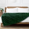 PAVILIA Super Soft Fleece Throw Blanket Twin Emerald Green, Fuzzy