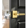 2 Pack Gold Door Handle, Knurled Passage Door Handles for
