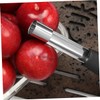 Ciieeo 6pcs Stainless Steel Fruit Corer with Plastic Handle Kernel