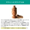 ユーグレナ バイオヘルステック サラシノール 1.2 ㎎ プレゼント ギフト