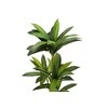 LOPOO Lifelike 51-Inch Tall Dracaena Tree for Indoor Décor, Faux