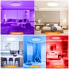 OUILA LED Ceiling Light Dimmable 24 W RGB Colour Changing