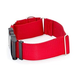 2 Inch Martingale w/ Buckle Dog Collars - Heavy Duty Nylon ( 2" Width Dog Collars (Red, X-Large)