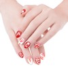Nail Image Plate Set, Value Set of 17 (13 Plates+2