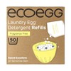 ecoegg Laundry Egg Refill Fragrance Free, 50 Loads