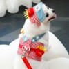 Cute Small Dog Harness and Leash Set,Pull Harness for Small,