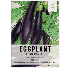 Seed Needs, Long Purple Eggplant Seeds - 100 Heirloom Seeds for Planting Solanum melongena - Non-GMO & Untreated - Produces 8 to 10 Inch Long Fruits (1 Pack)