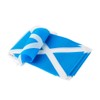 Scotland Flags Scottish Small String Mini Flag Pennant Banner Decorations