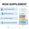Puregen Labs Ferrous Sulfate 325 mg (65 mg Elemental Iron)