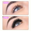 Curacoro LashFolio Narrow Promade Fans 12D-0.03 CC Curl 12-15mm