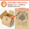 Earth Cardboard Shipping Box, 60 Size, B5 Cardboard, 120 Sheets,