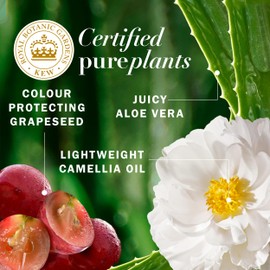 Herbal Essences Pure Grapeseed Colour Nurture Sulfate Free Conditioner, 400 mL, Hair Protection and Colour Nourishment