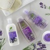 DR Organic Conditioner Organic Lavender