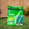 Sunday Sun & Shade 1,500 Sq. Ft. Seed + Feed,