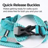 pangdi Cat Harness and Leash Escape Proof Extra Large Kitten