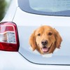 Golden Retriever Sticker, 3D Breakthrough Effect, Reflective, Waterproof, Funny Decoration