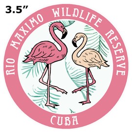 Blue Heron Flamingos Rio Maximo Wildlife Reserve Car Truck Window Bumper Sticker Decal - Pink