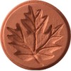 JBK Pottery Terra Cotta Cookie Stamps (Leaf)