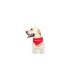 Doggie Stylz Service Dog Bandana with Reflective Strip for pet