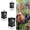Tree Root Growing Box, Reusable Transparent Plants Asexual Reproduction Grafting