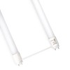 MaxLite U13T8DF240 DirectFit LED T8 U-Bend Light Bulbs - 13W