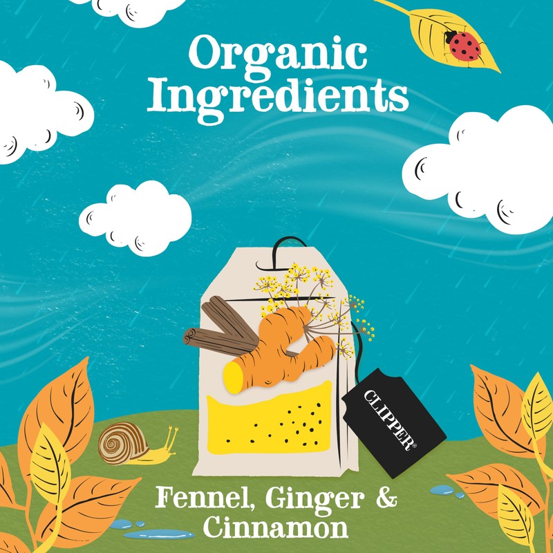 Clipper Tea Spicy Chai Herbal Tea – Caffeine Free, USDA