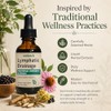 Lymphatic Drainage Drops, 2000mg Herbal Blend with Elderberry & Echinacea