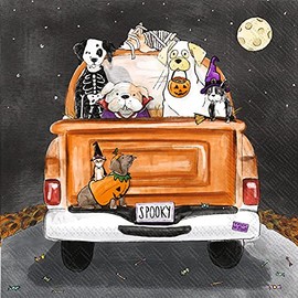 Boston International IHR 3-Ply Paper Napkins, 20-Count Cocktail Size, Spooky Pups