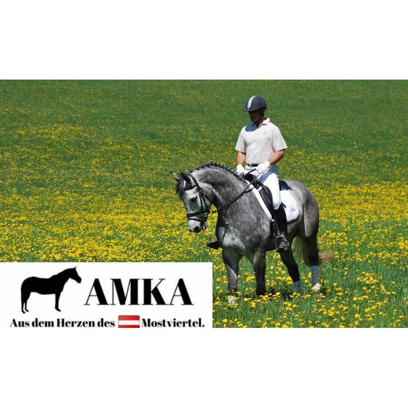 AMKA Toggle Snaffle Bit Solid Stainless Steel Thickness 18 mm