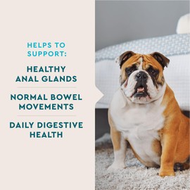 VETIQ VetIQ Anal Gland Probiotic & Digestion Supplement, Hickory Smoke Flavored Pumpkin Fiber Soft Chew, 60 Count