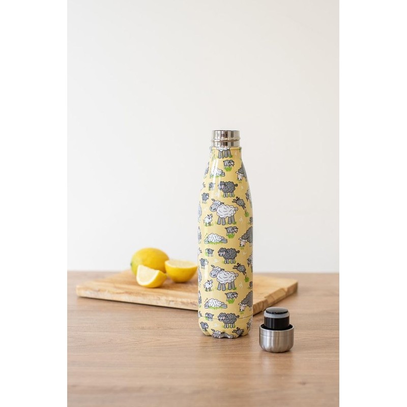 Eco Chic Reusable Thermal Bottle Stainless Steel Leakproof Insulated Water