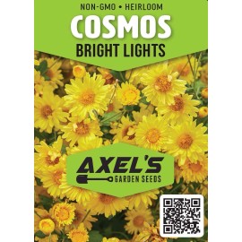 Axel's Garden Seeds Cosmo Bright Light Flower Seeds | Heirloom | Non-GMO | Fresh Garden Seeds - 10 Seeds